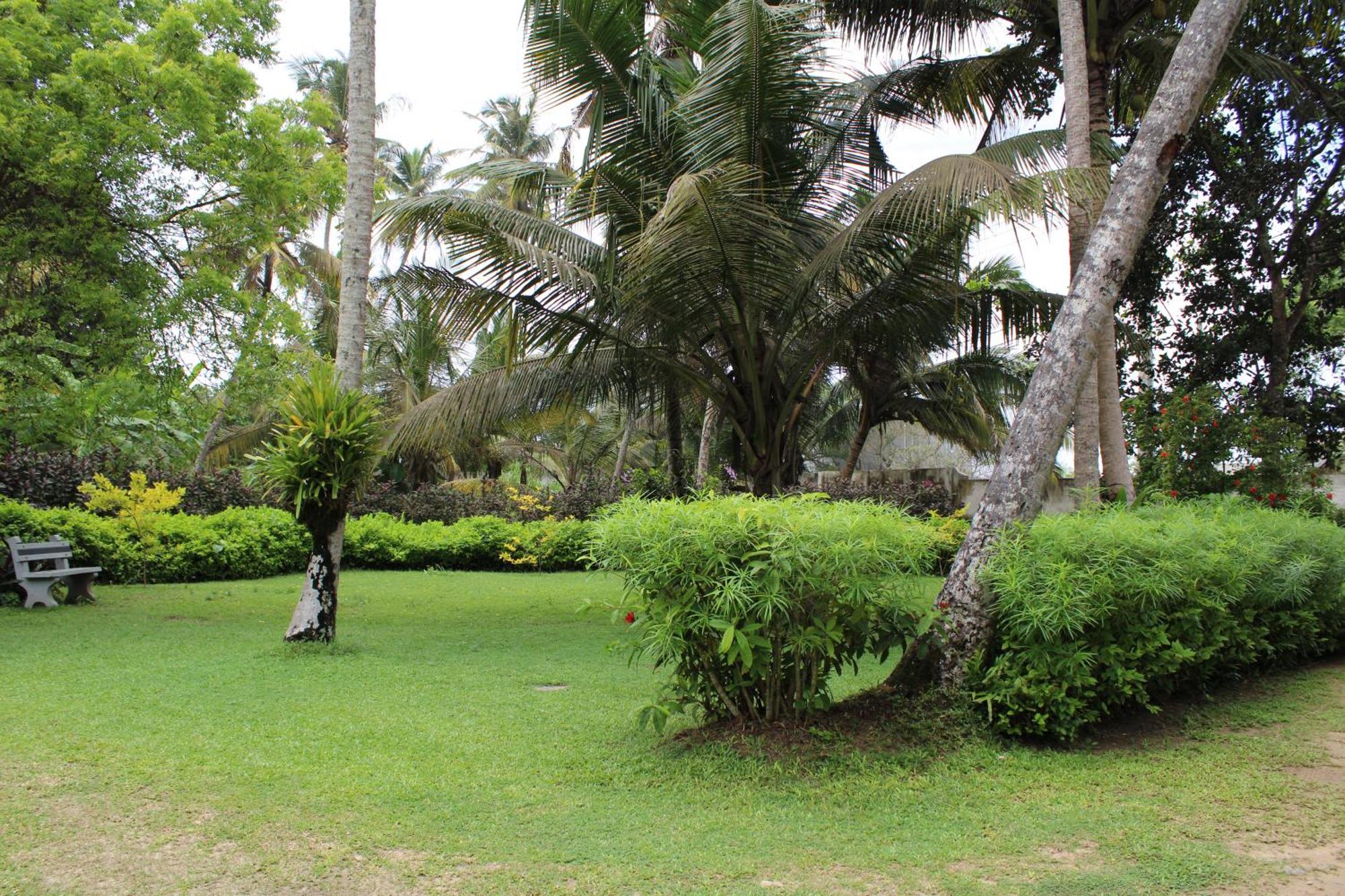 Sun And Surf Rest Ahangama Exterior foto