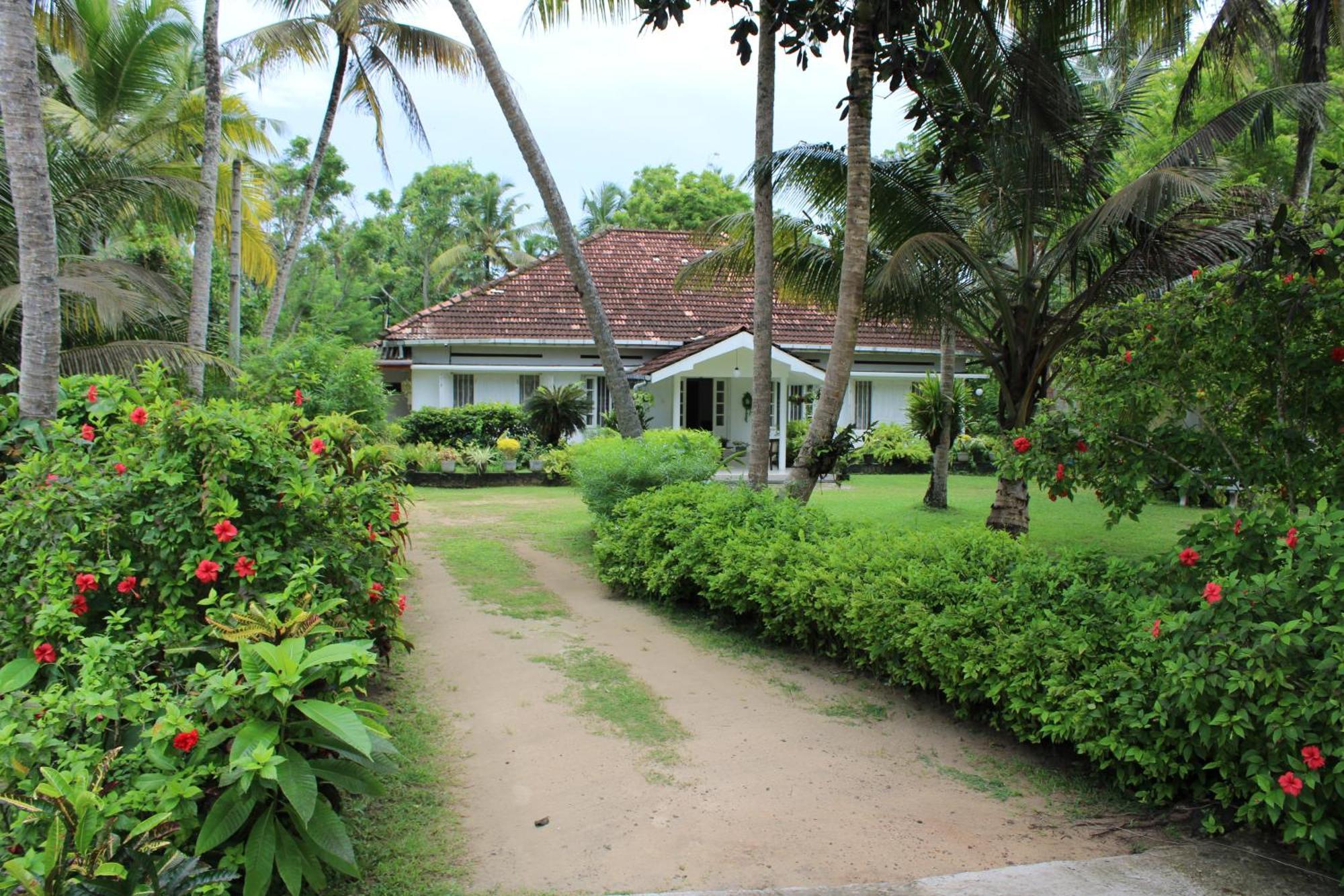 Sun And Surf Rest Ahangama Exterior foto