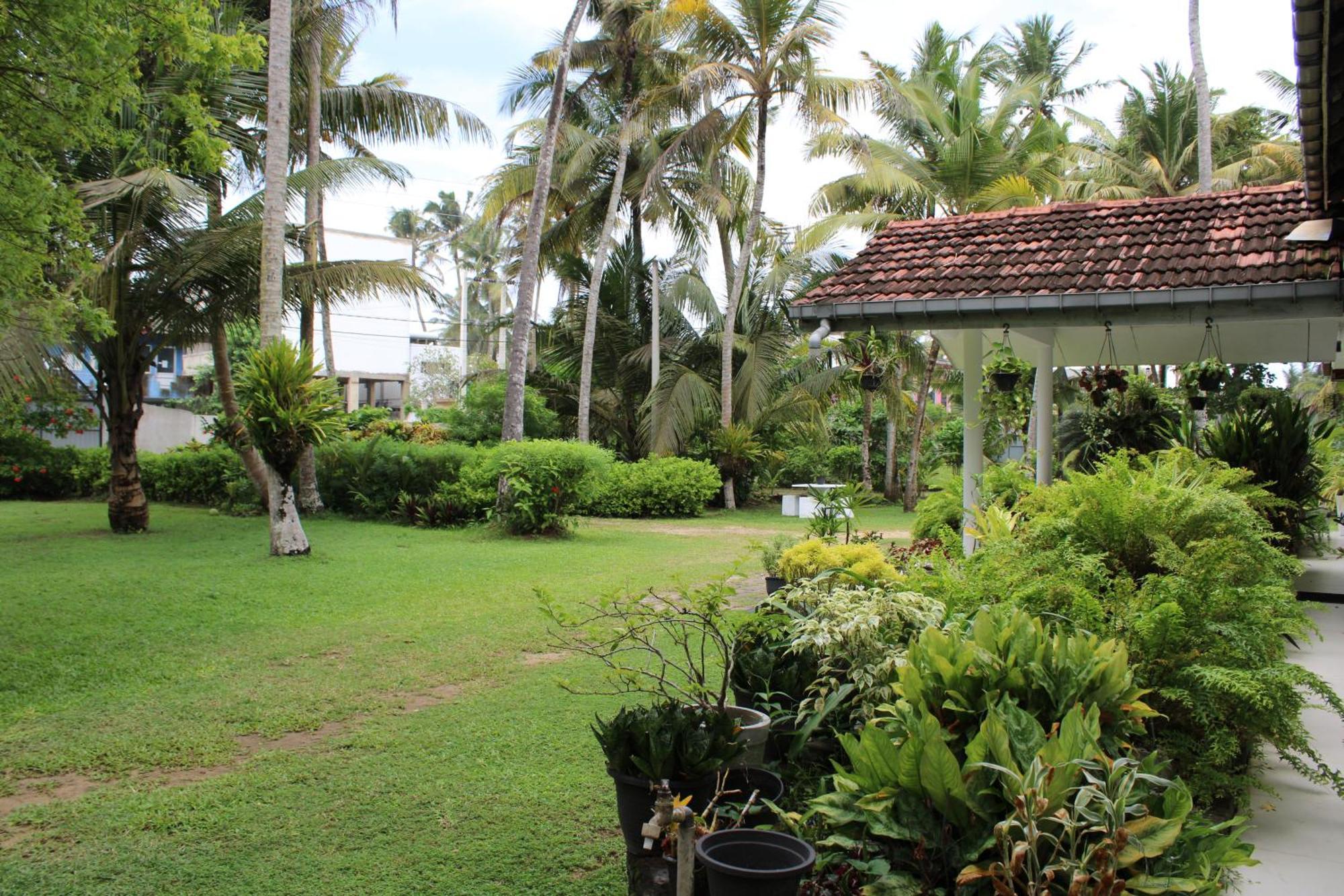 Sun And Surf Rest Ahangama Exterior foto