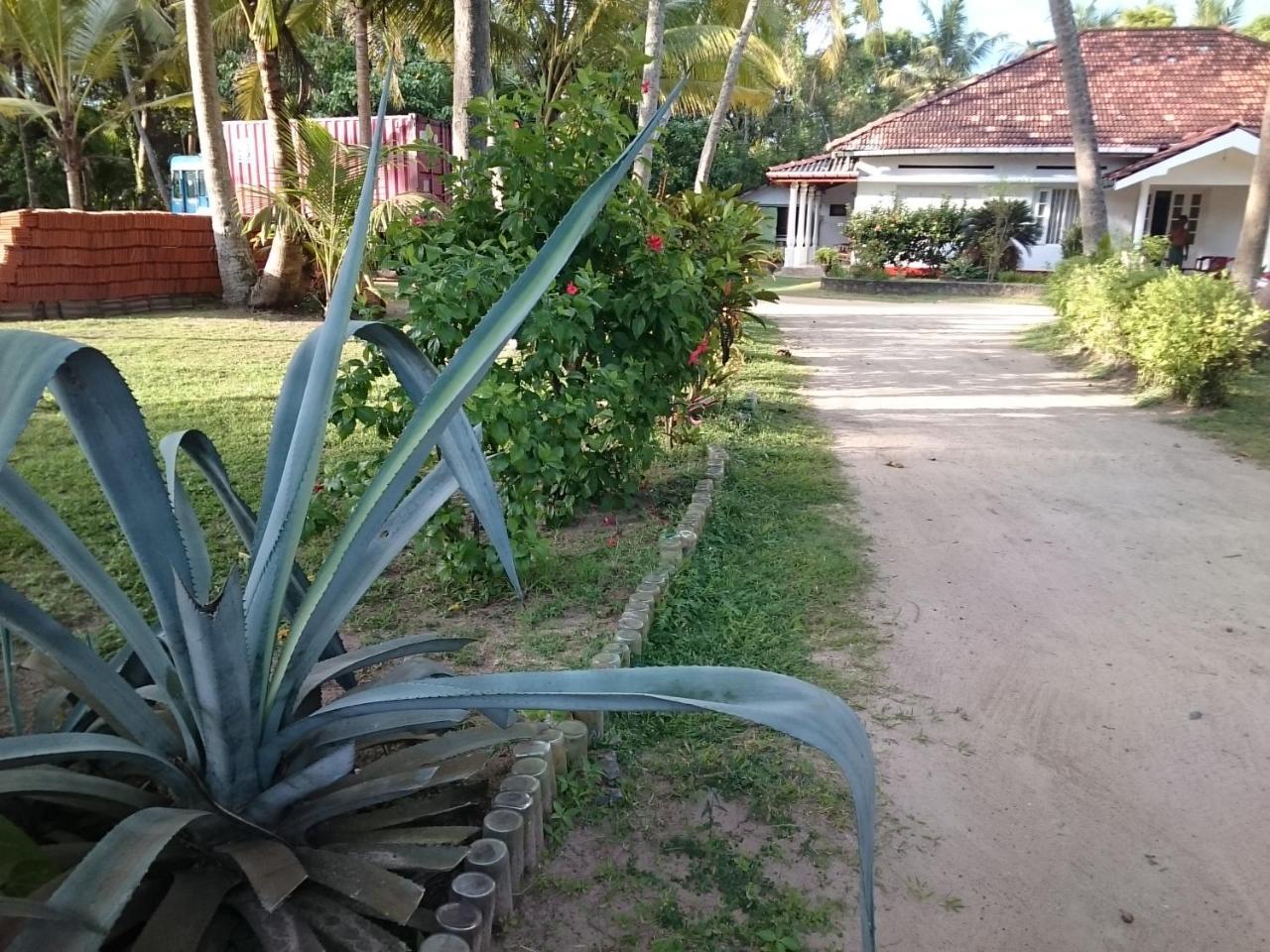Sun And Surf Rest Ahangama Exterior foto