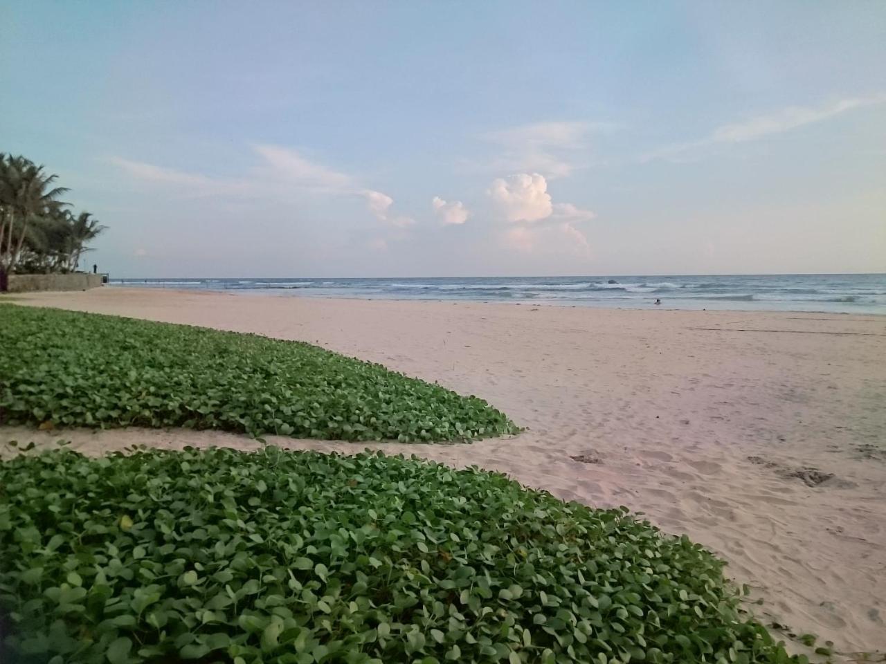 Sun And Surf Rest Ahangama Exterior foto